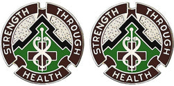 8th Medical Brigade Unit Crest