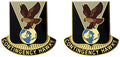 900th Support Battalion Unit Crest