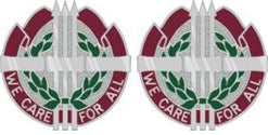 95th Combat Support Hospital Unit Crest