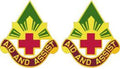 99th Combat Support Hospital Unit Crest