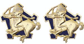 9th Cavalry Regiment Unit Crest