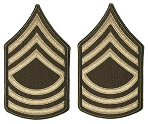 AGSU CHEVRONS E8 Master Sergeant Small