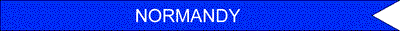 Army Presidential Unit Citation Streamer