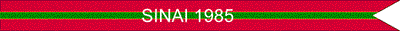Army Superior Unit Streamer (Unit Or Company Streamer 2 Foot)