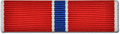 Bronze Star Medal Award