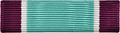 Coast Guard Distinguished Service Award