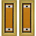 Electronic Warfare Rayon Shoulder Boards