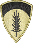 United States Of America Europe OCP Scorpion Shoulder Sleeve Patch With Velcro