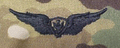OCP Aircraft Crewman Basic Badge Sew On