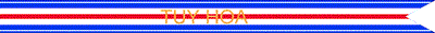 Valorous Unit Commendation Streamer