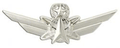 Academy Space Command Badges