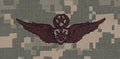 Aircraft Crewman Master Badge ACU Sew On