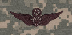 Aircraft Crewman Master Badge ACU Sew On
