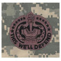 Drill Sergeant ACU Sew On Badge