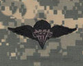 Rigger ACU Sew On Badge