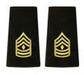 AGSU Epaulets E8 FIRST SERGEANT EPAULETS