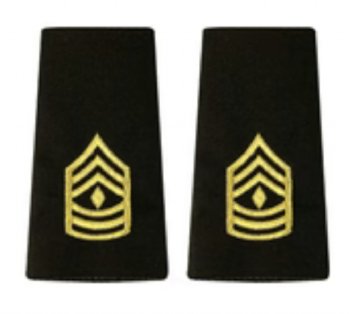 AGSU Epaulets E8 FIRST SERGEANT EPAULETS
