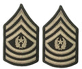AGSU CHEVRONS E9 Command Sergeant Major Small