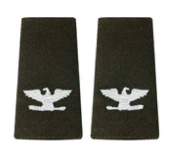 AGSU Epaulets O6 Colonel