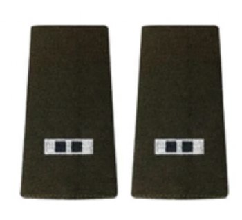 AGSU Epaulets CW2 Epaulets