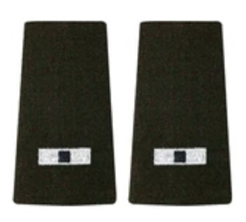 AGSU Epaulets WO1 Epaulets