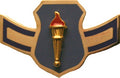 USAF ROTC Insignia Metal Pin On, Airman