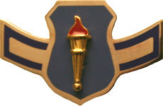 USAF ROTC Insignia Metal Pin On, Airman