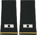 WO1 Shoulder Epaulets
