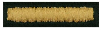 ASU Overseas Bars / Combat Service Bars