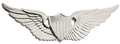 Aviator Basic Badge