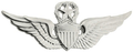 Aviator Master Badge