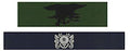 Surface Breast Badges