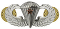 Basic Parachutist Combat First Award Badge