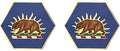 California National Guard Unit Crest