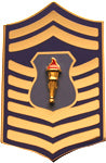 USAF ROTC Insignia Metal Pin On, CMSgt