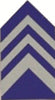 COL JROTC Shirt Insignia