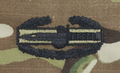 OCP Combat Action Badge Sew On