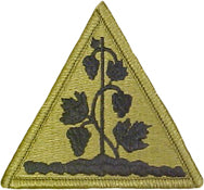 Connecticut State Area Command OCP Scorpion Shoulder Patch