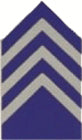 CPT JROTC Coat Insignia