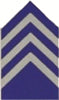 CPT JROTC Shirt Insignia