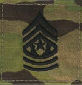 E-9 Command Sergeant Major SGM OCP Scorpion Insignia With Velcro