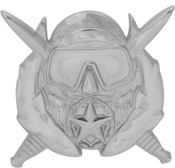 Diver Special Operations Supervisor Badge