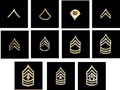 Army Enlisted Brite Insignia