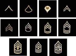 Army Enlisted Brite Insignia