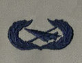 Historian Badge