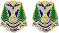 Idaho National Guard Unit Crest