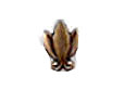 Laurel Leaf For Civilian Ribbons Bronze