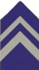 LTC JROTC Coat Insignia