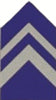 LTC JROTC Shirt Insignia