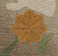 MAJ Major OCP Scorpion Sew On Insignia